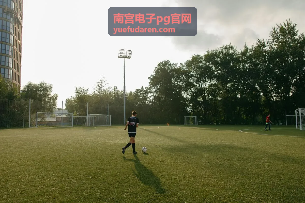 南宫电子pg官网 参数替代与公差核对说明