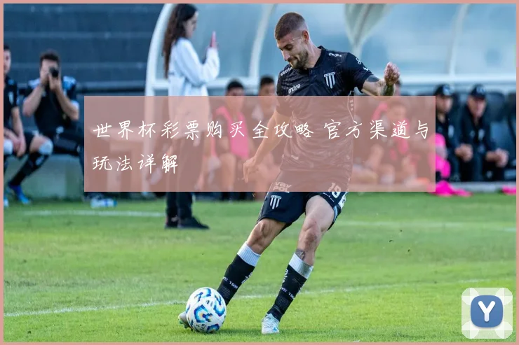 世界杯彩票购买全攻略 官方渠道与玩法详解