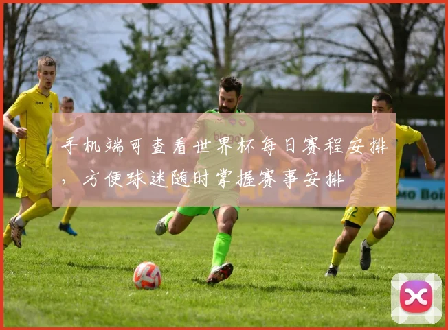 手机端可查看世界杯每日赛程安排，方便球迷随时掌握赛事安排