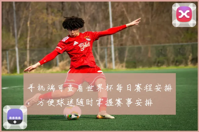 手机端可查看世界杯每日赛程安排,方便球迷随时掌握赛事安排